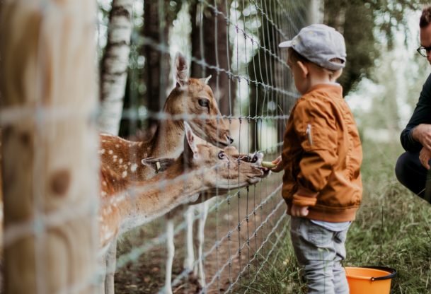 How To Encourage Bravery In Your Child